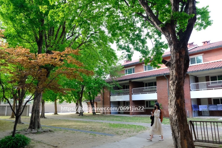  [용산공원 미군기지] 서빙고역/ 용산공원 부분개방부지/ 장교숙소 개방부지/ 서울 가볼만한 곳/ 용산 사진찍기 좋은 곳