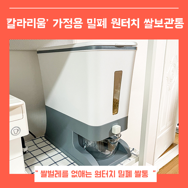  쌀보관통 밀폐 계량 원터치쌀통 추천 (feat. 쌀보관방법 )