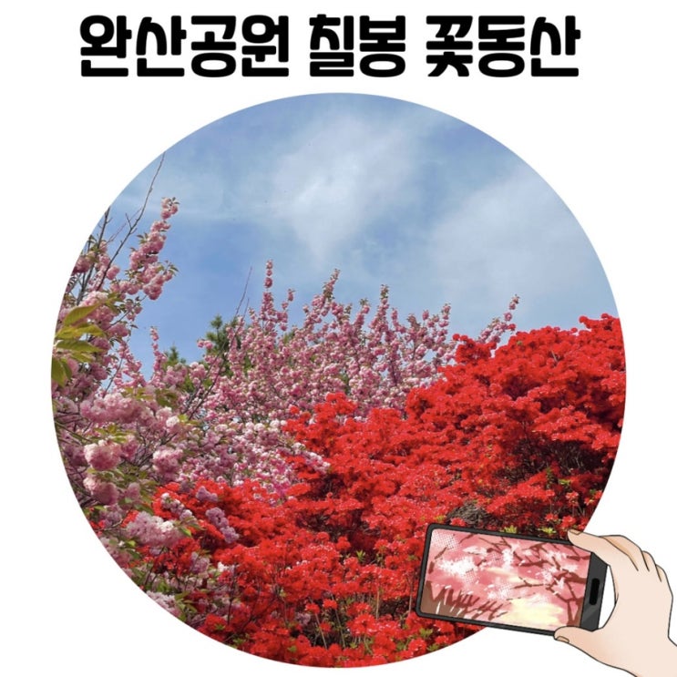 [전주 당일치기 여행] 아름다운 겹벚꽃이 가득한 '전주 완산공원 꽃동산'