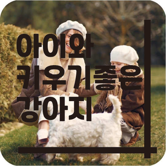  아이와 키우기 좋은 강아지 이야기~