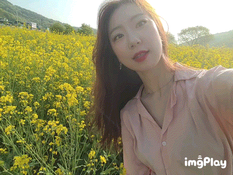  대전유채꽃 공주유채꽃 보러 석장리박물관 가자