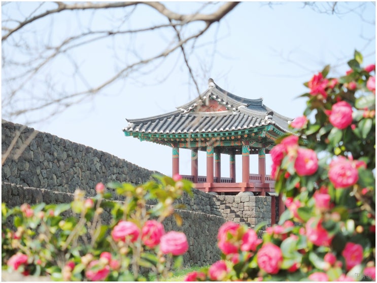  명월성지_ 제주 서쪽 가볼만한곳. 한림 히든 플레이스