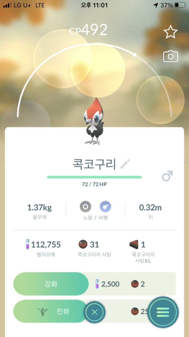  콕코구리, 크라파