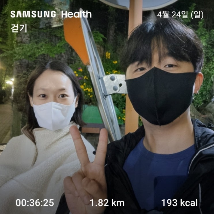  [4월24일] 동네 걷기운동, 블로그의 성장, 블로거로서의 마음가짐