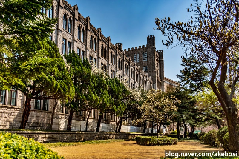 서울 산책하기 좋은 곳 - 경희대학교 중앙도서관 : 네이버 블로그 서울 산책하기 좋은 곳 - 경희대학교 중앙도서관 : 네이버 블로그