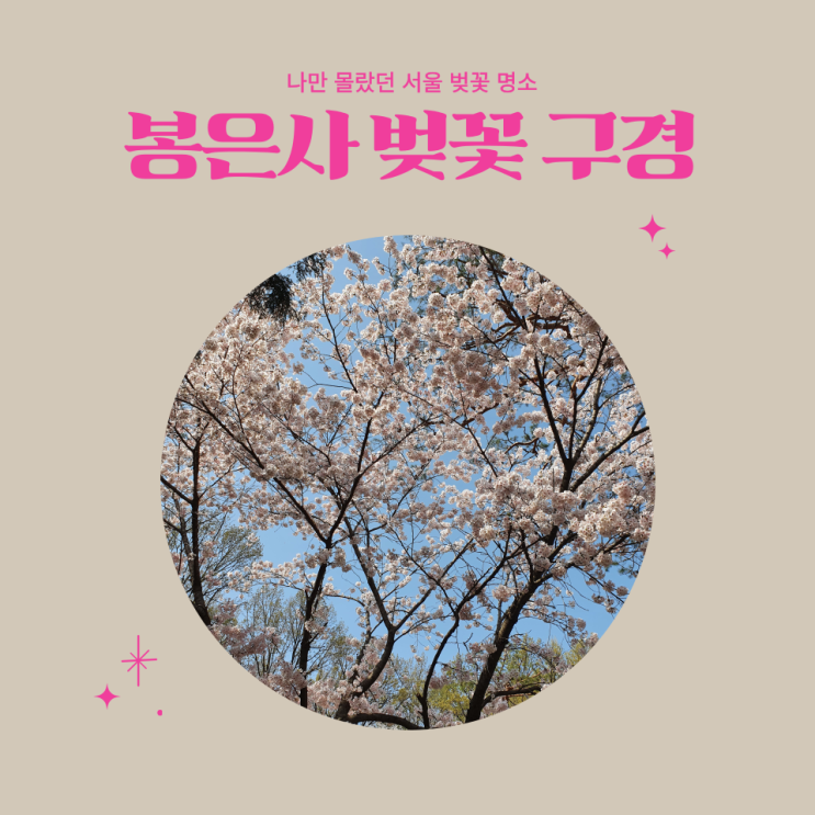  숨겨진 서울 벚꽃 명소 봉은사에서 벚꽃 구경