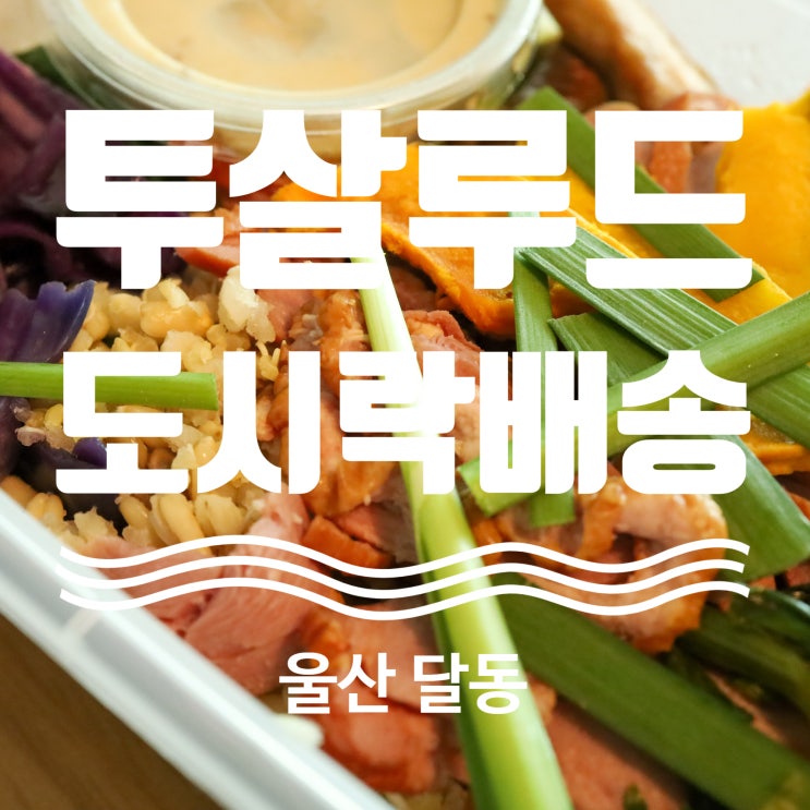 울산 도시락 정기배송 투살루드 건강식 도시락 추천