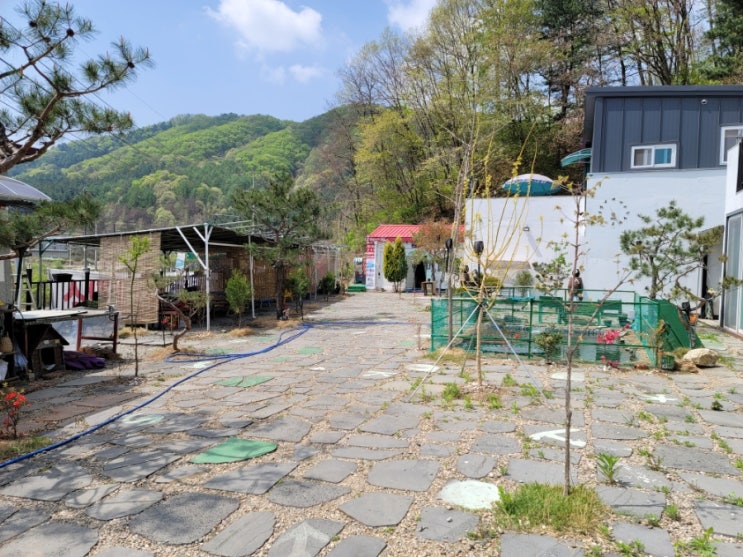  봄이온거 같은디