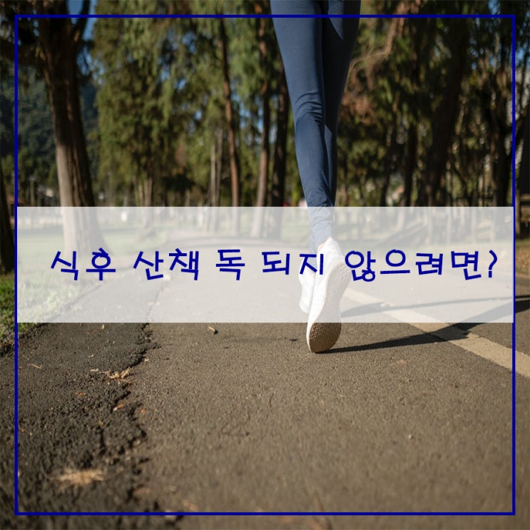  식후 산책 독 되지 않으려면?