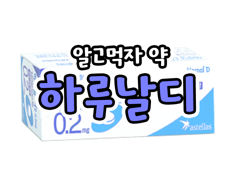 하날디정 효능0.2MG부작용 성분 효과 리뷰 2
