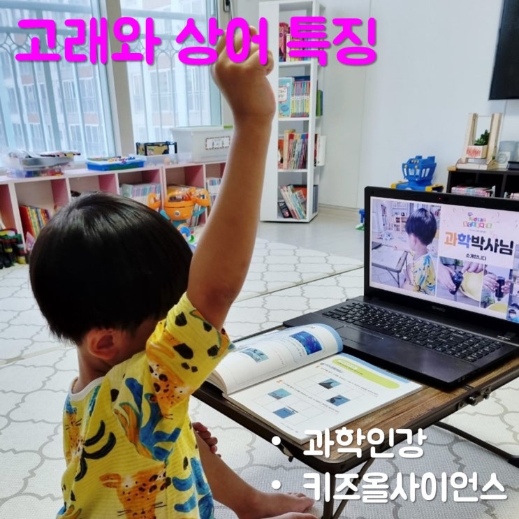  과학인강 키즈올사이언스 고래와 상어 특징 배우기