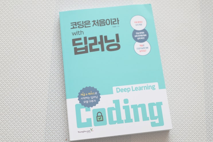  코딩 입문자를 위한 머신러닝 ai 도서 / 코딩은 처음이라 with 딥러닝