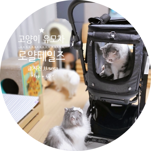 로얄테일즈 고양이유모차 타고 일산 동물병원 방문기 - 고양이설사