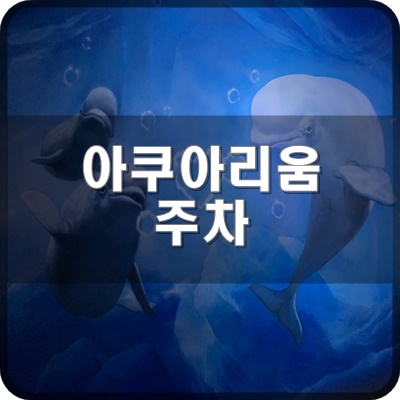  롯데월드 아쿠아리움 주차 및 추천구역 꿀팁 알려드립니다.