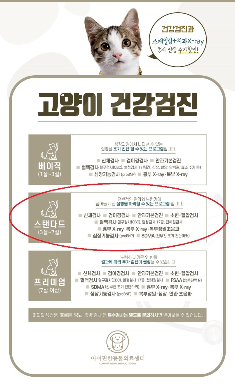 화정역 동물병원 고양이(먼치킨) 건강검진 케이스 : 네이버 블로그