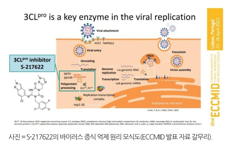 시오노기(일동제약 공동개발) 코로나치료제, 증상개선 위약군대비 차이없어 