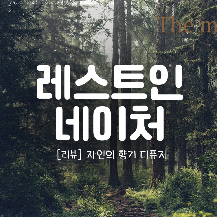 rest in nature 디퓨저 내돈내산 리뷰