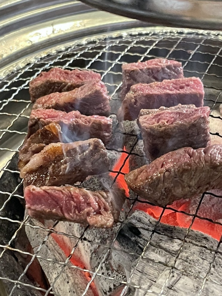 [마장축산물시장] 어버이날 한우 선물 주문하고 투쁠 소고기 흡입(대광축산, 숯불탁탁)