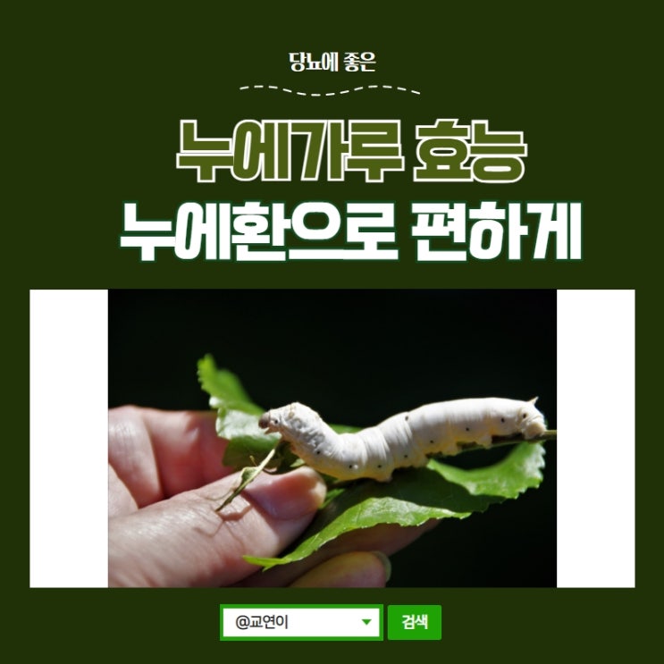  누에가루 효능 누에환으로 간편하게 누려요!