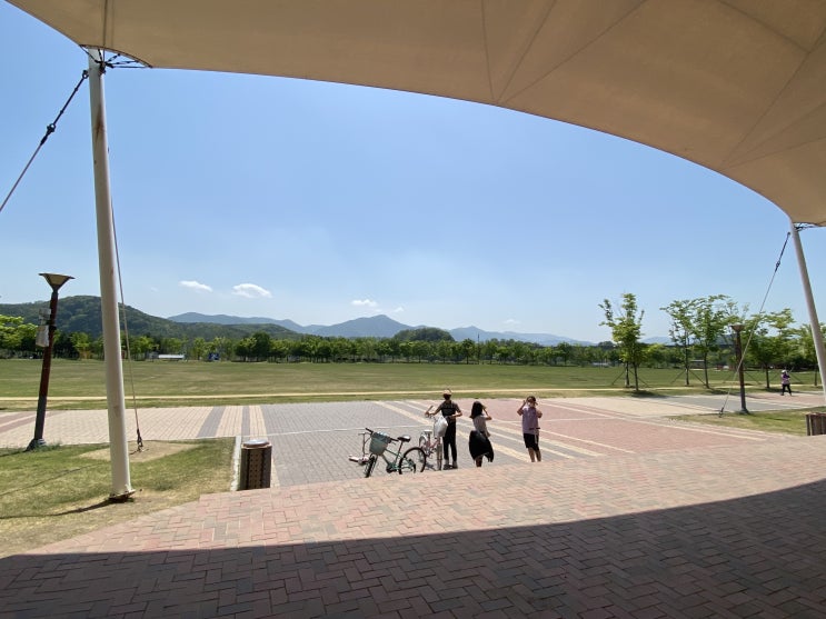  율하체육공원에서 즐거운 시간 보내기