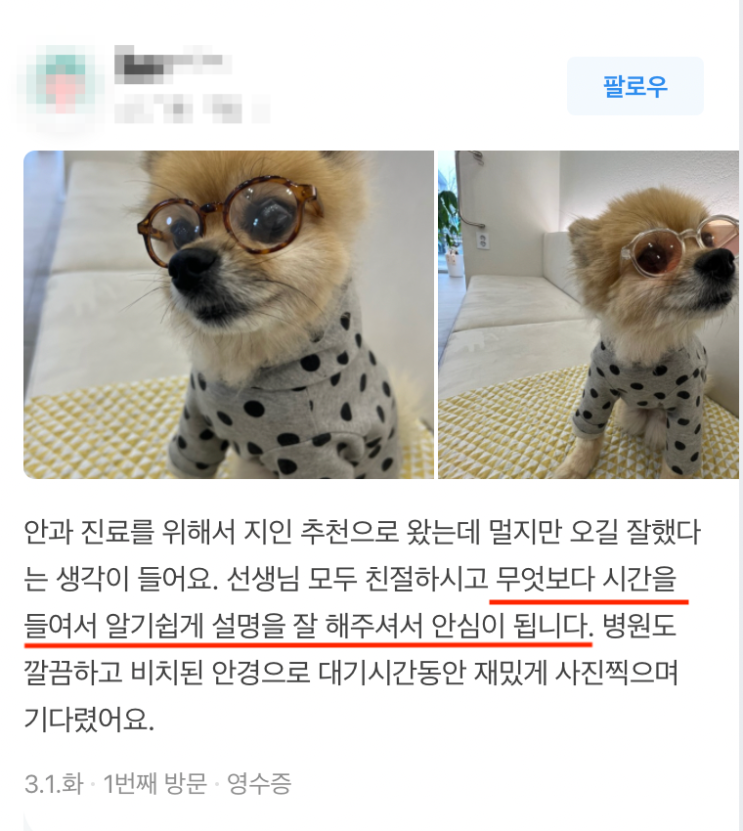 안과 수의사가 말하는 안과동물병원 고르는 팁