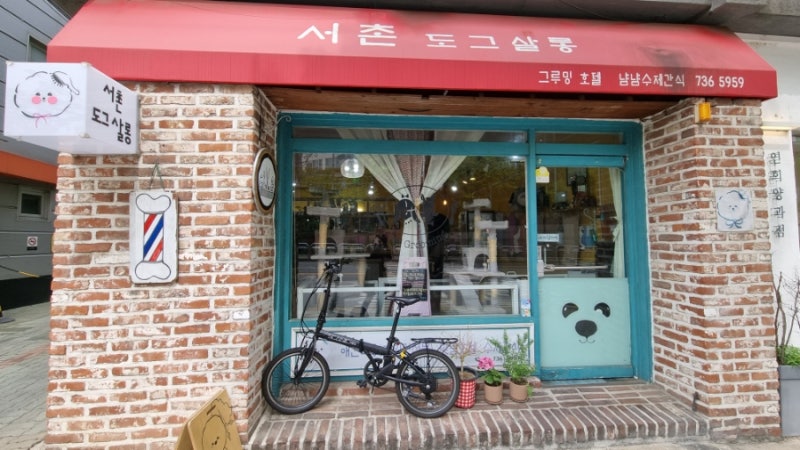 사진 6