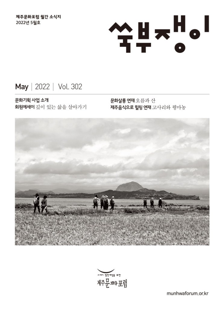  쑥부쟁이302