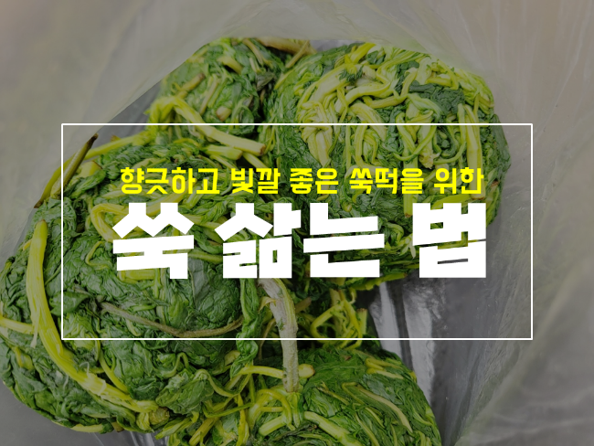  쑥 삶는 법과 쑥떡 인절미 해주는 침산동 떡집은?