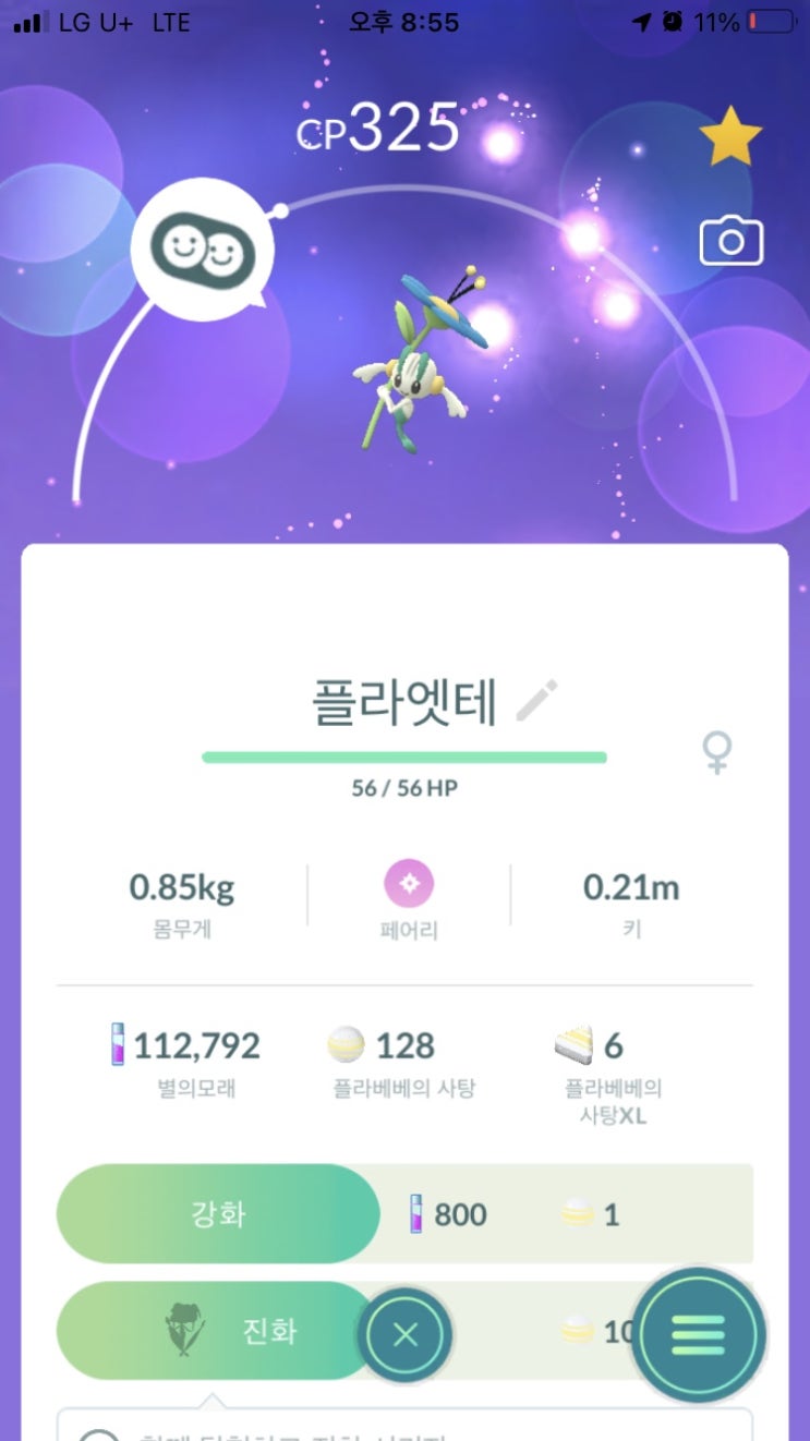  플라엣테, 플라제스