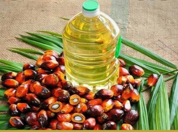  Indonesia bans palm oil exports as global food inflation spikes