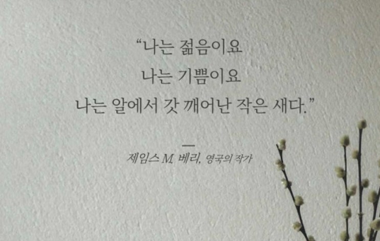  부거사이 [부동산 뉴스와 블로그] 4월 25일(월)