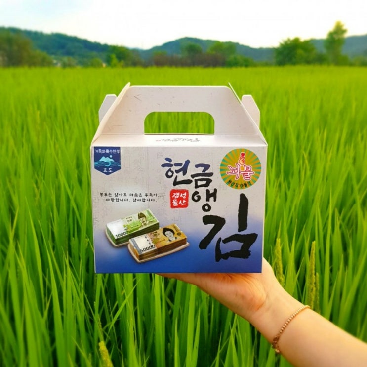  한약돈봉투 돈보약 용돈박스 김박스 현금 어버이날 명절 환갑 선물 키트 diy