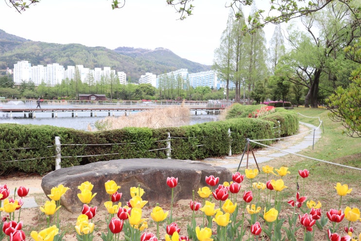 김해 가볼만한곳 산책하기 좋은 김해연지공원 튤립이 예쁘다