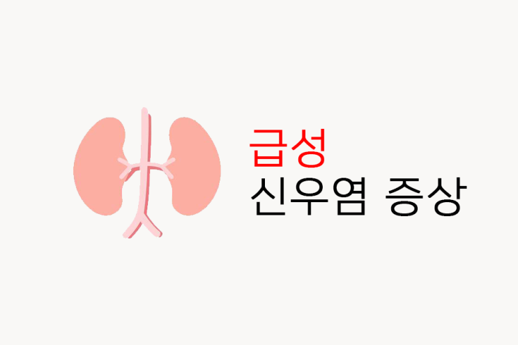  급성 신우염 증상 원인 치료