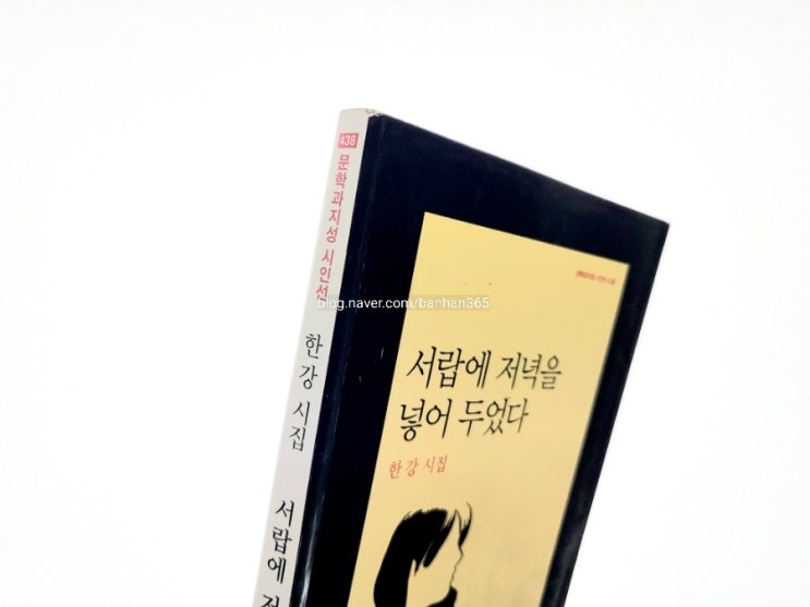  서랍에 저녁을 넣어 두었다 - 한강 시집