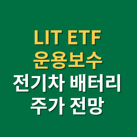  리튬 관련주 LIT ETF 전기차 배터리 소재 운용보수 편입종목(f. 앨버말, 테슬라)