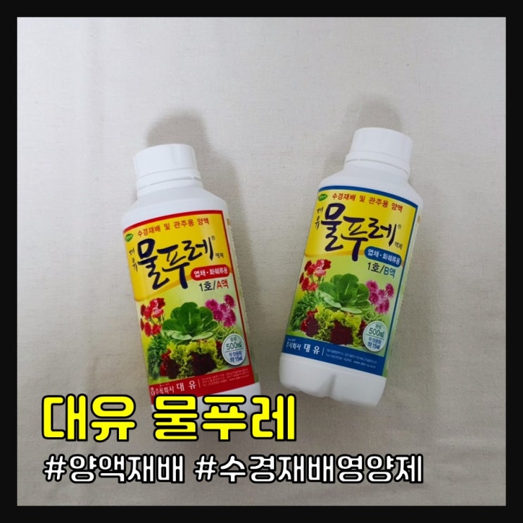 대유 물푸레 후기 (수경재배 영양제)