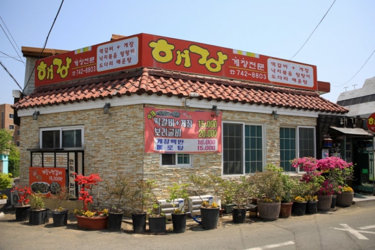  순천여행 때 방문한 순천 시청 맛집 해강