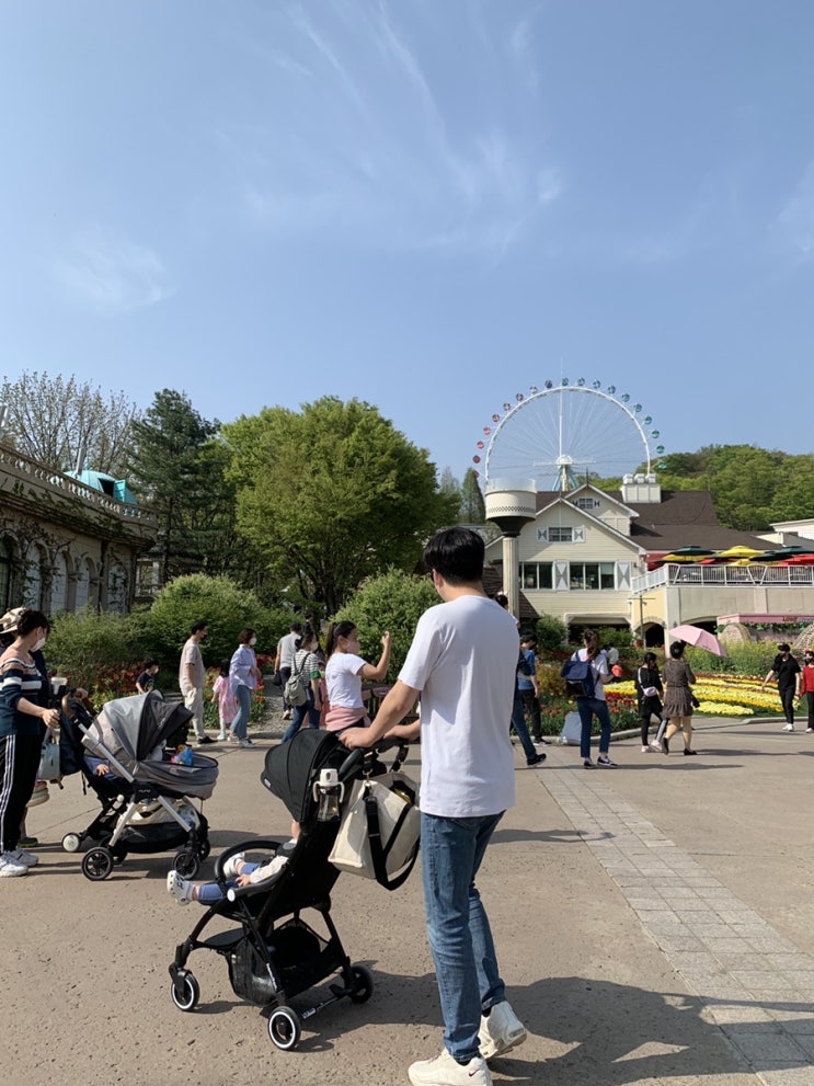  휴대용 유모차 베이비젠 요요2, 해밀턴 X1플러스 장단점 비교 후기