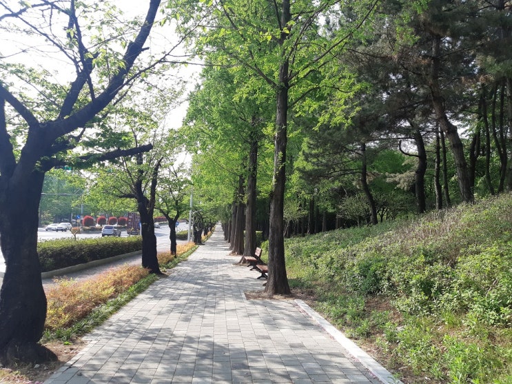 마산 315 해양누리 공원에서 창원 남중까지 가음정  사거리 (누비자  자전거 라이딩)