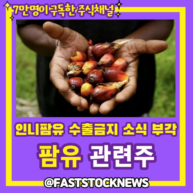 팜유 관련주 BY급등일보 팜유 관련주 BY급등일보