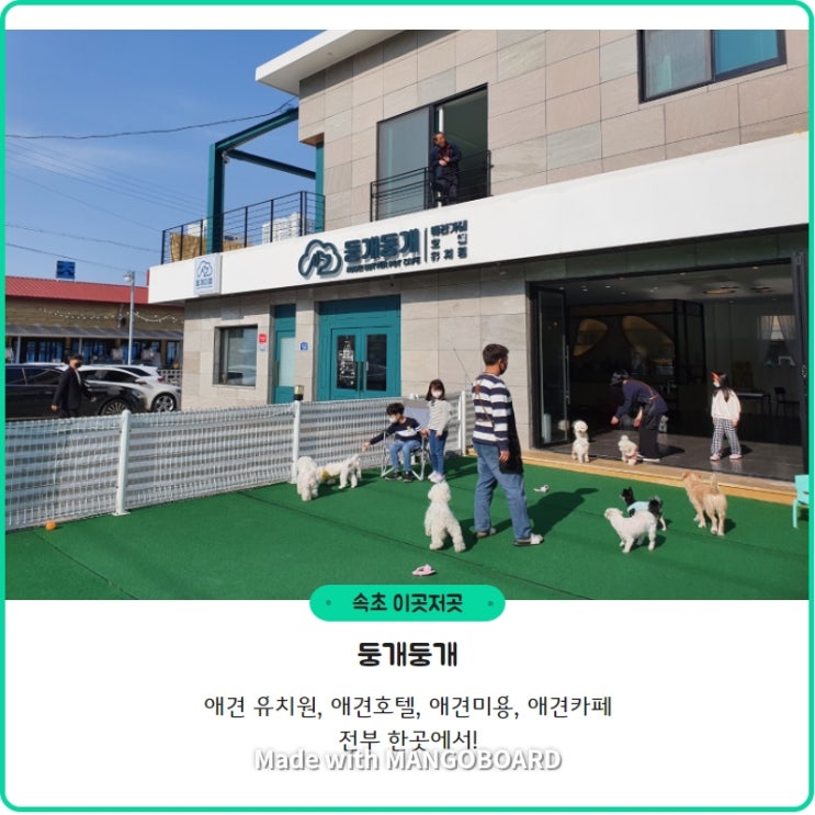  [둥개둥개] 애견카페+유치원+호텔+미용이 한번에 가능한 곳