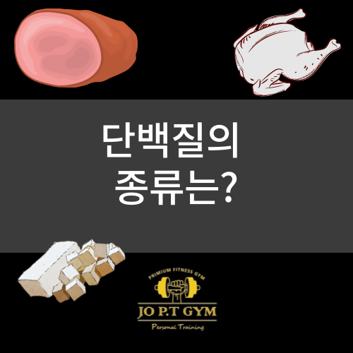  장안동헬스/ 장안동헬스장/ 장안동pt/ 장안동피티/ 장안동다이어트   조피티짐 단백질의 종류는??