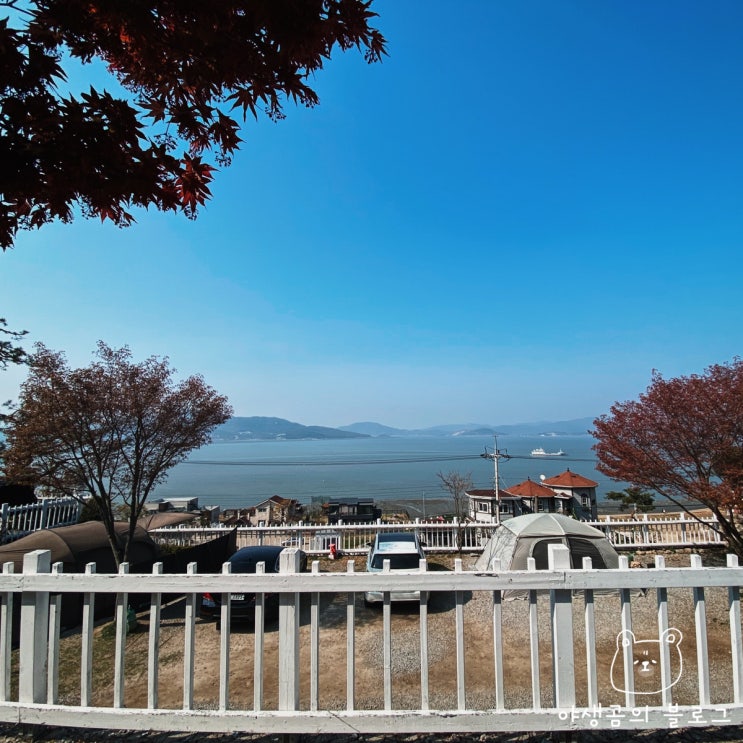  강화도 씨사이드힐 캠핑장 메이플 싸이트 솔직후기