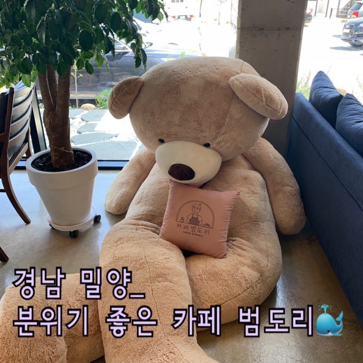  경남 밀양 카페 범도리_대나무 숲 시골분위기 제대로 즐기기