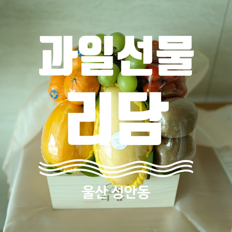 울산 과일선물 추천 성안동 리담 우드스몰 과일바구니