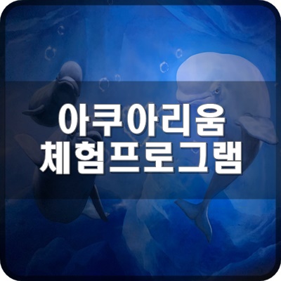  롯데월드 아쿠아리움 B1F 잉어 터치플에서  잉어젖병먹이주기 프로그램 체험 하는 법 및 후기