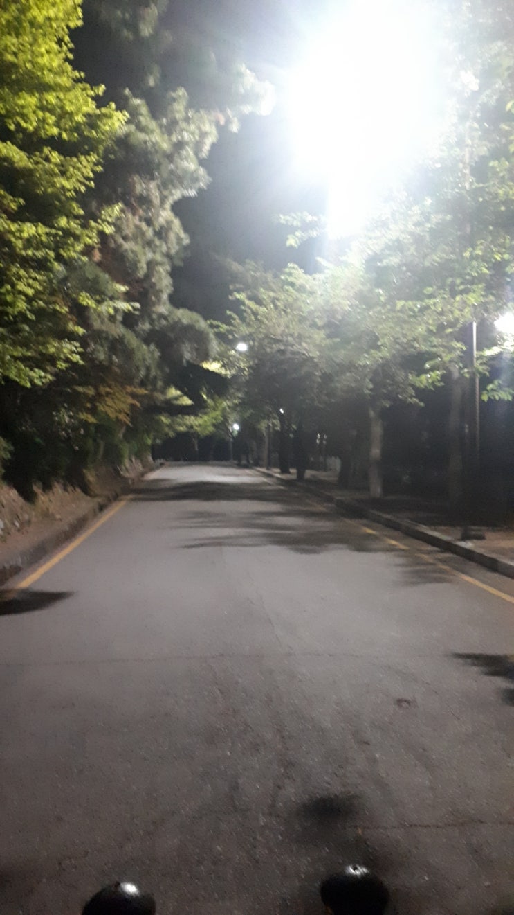 세월의 흔적 세월의 흔적