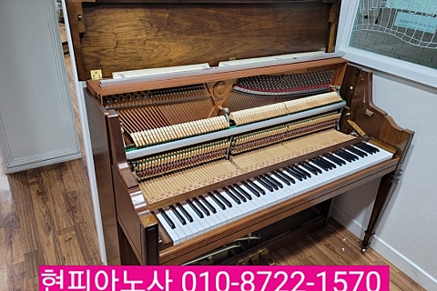 포르테음악학원 이미지