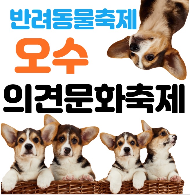  임실 오수 의견문화제 전주 광주 근교 나들이